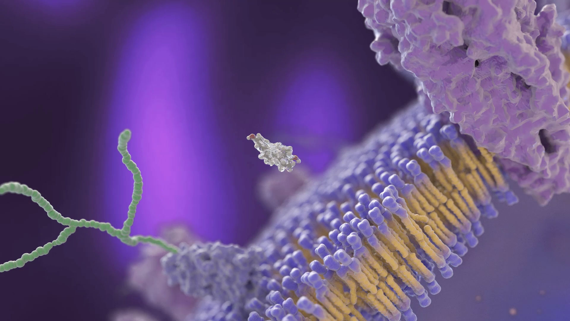 Hormonrezeptor mRNA Transkription - Eigenproduktion